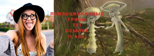 Альфа ПВП Нефтекумск