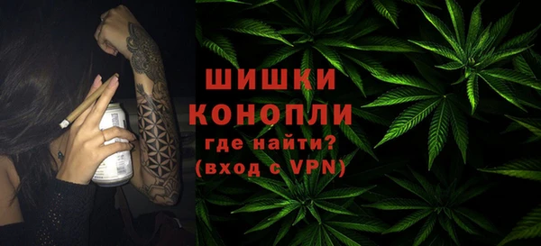 стаф Нефтегорск
