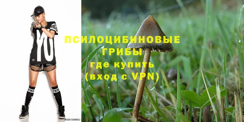 гидра вход  Костомукша  Псилоцибиновые грибы MAGIC MUSHROOMS 